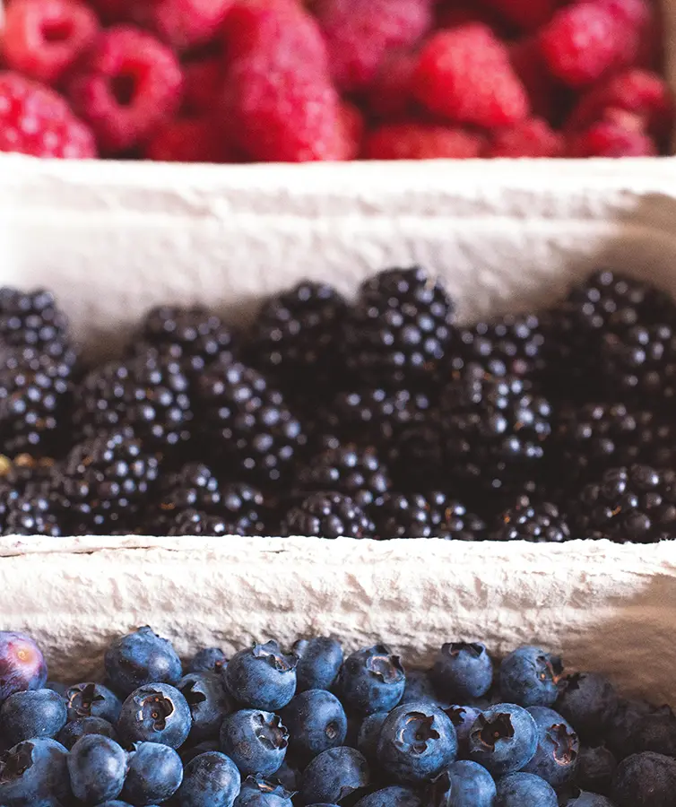 Farmville Farmers Markets