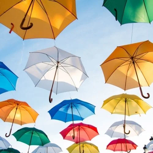 Learn about renters insurance with Poplar Forest Apts in Farmville, VA